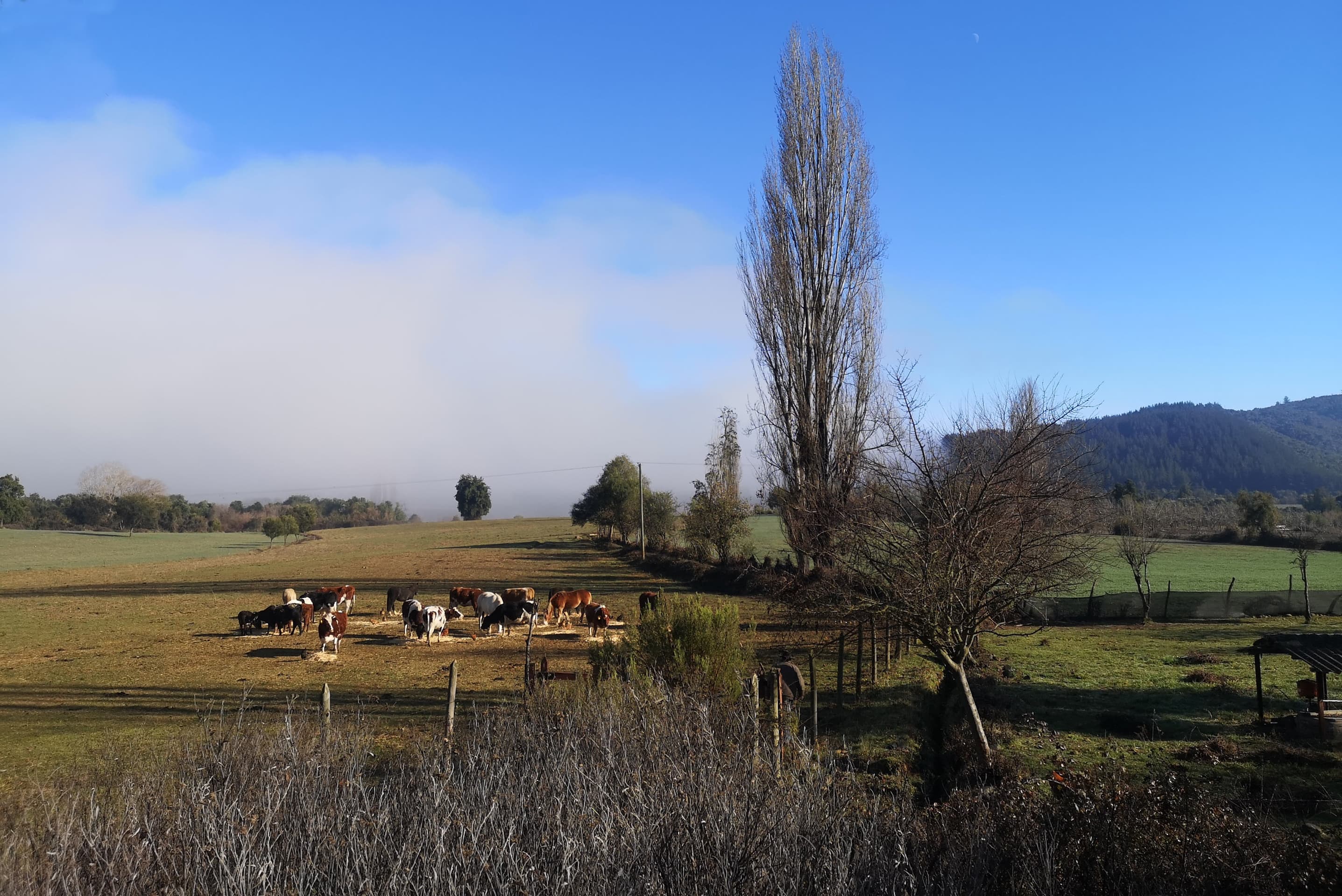 Paisaje de Vilches Alto, Región del Maule